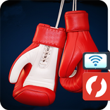 Box Fighter Viewer