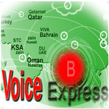 Voice Express Dialer