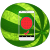 Watermelon Ripeness APK