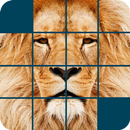 binatang liar teka-teki APK
