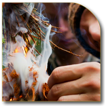 Wilderness Survival