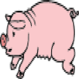 Spinny Pig