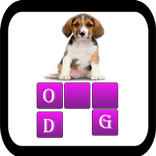 Find the Word Game
