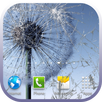 Crack Screen FREE APK