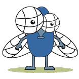 Insect Sound