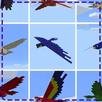 Pocket Creatures Mod Installer APK