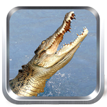 Wilde Krokodil Simulator