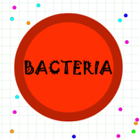 Bacteria