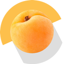 APK Nutrition Guide