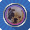 Face Warp APK