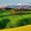 Wide Fields LWP APK
