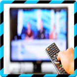 Universal TV Remote