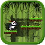 Panda Run 2016 HD