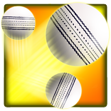Swipe Cricket