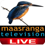 Maasranga Television