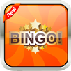 BINGO! Offline Bingo Games APK