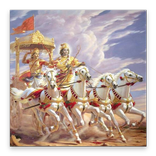 Mahabharat All Video