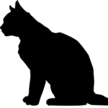 Black cat Cut-in