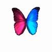 MAJESTICTV APK