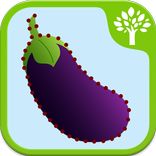 Kids Learn Veggies