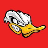 Angry Duck Shoot