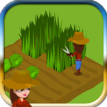 ฟาร์มผักหญิงสาว