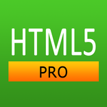 HTML5 Pro Quick Guide