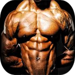 programme de musculation
