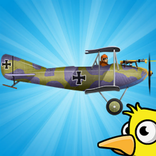 Airplane Fighter Bird Strikes