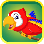 Learn Birds Name