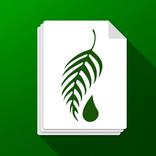 Descarga rápida de Melaleuca