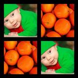 Memory Test Game - Photo Match