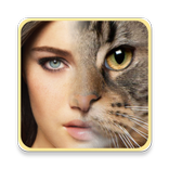 Face Morphing ( Face Edit)