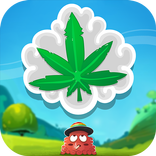 Kush Krush - Weed Match Game