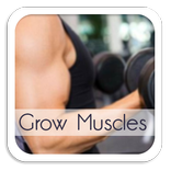 How To Grow Muscles