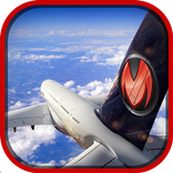 Airplane Flight Pilot Sim