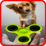 Hand Spinner