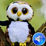 Owl Sounds Ringtones