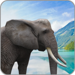 AR African Animals