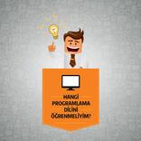 Hangi Programlama Dili