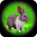 丛林兔子狩猎大师 APK