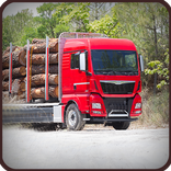 Off Road Wood Hill Cargo Truck