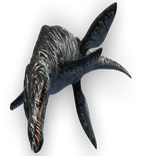 Pliosaurus Widget/Stickers