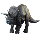 Triceratops Dinosaur Widget