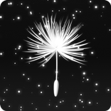 Fuzz