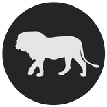New Quiz Animals