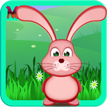 Evolution Rabbit Adventure