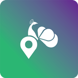 Maputo Guide