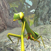 Praying Mantis Simulator 3D APK