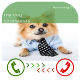 Fake Caller ID App